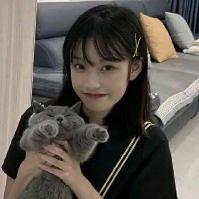 代号aoi台服手游